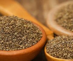 Lifestyle News : 'या' लोकांसाठी ओवा खाणं का ठरु शकतं तोट्याचं, सविस्तर जाणून घ्या