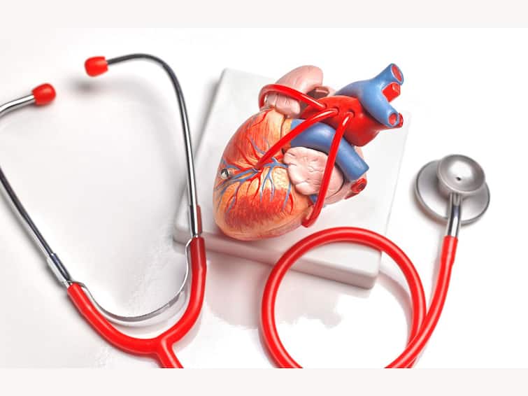 Heart Health: Debunking Five Common Misconceptions Around Cardiovascular Wellness Heart Health: Debunking Five Common Misconceptions Around Cardiovascular Wellness