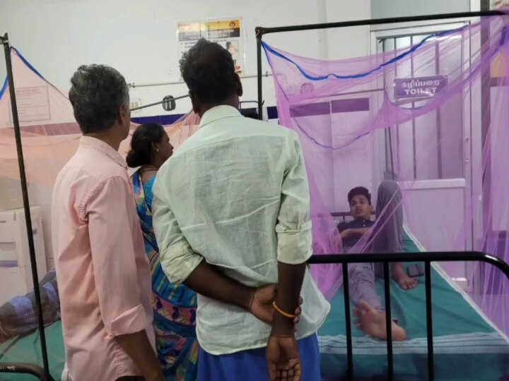 Dengue Fever: மயிலாடுதுறையில் டெங்கு நிலவரம் என்ன? - வெளியான எக்ஸ்குளுசிவ் தகவல்