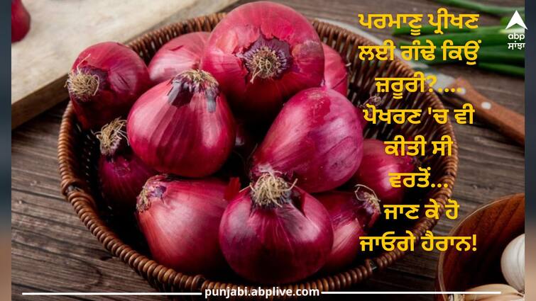 What's the relation between onions and nuclear tests? details inside Onions Used In Nuclear Test: ਪਰਮਾਣੂ ਪ੍ਰੀਖਣ ਲਈ ਗੰਢੇ ਕਿਉਂ ਜ਼ਰੂਰੀ? ਪੋਖਰਣ 'ਚ ਵੀ ਕੀਤੀ ਸੀ ਵਰਤੋਂ, ਜਾਣ ਕੇ ਹੋ ਜਾਓਗੇ ਹੈਰਾਨ!