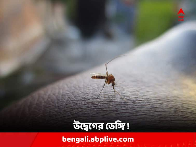 Malda News : Task Force Formed to combat Dengue in Malda, Health Workers leave cancelled Dengue: ডেঙ্গি-উদ্বেগ মালদাতেও, টাস্ক ফোর্স গঠন জেলা প্রশাসনের; ছুটি বাতিল চিকিৎসক-স্বাস্থ্যকর্মীদের