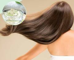 Hair Care Tisp: વાળમાં એલોવેરા લગાવતા પહેલા તેનાથી થતાં  5 નુકસાન જાણો