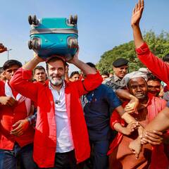 Rahul Gandhi: এবার হাতে করাত, দিল্লির কীর্তি নগরের বাজারে কাঠমিস্ত্রিদের সঙ্গে সাক্ষাৎ রাহুলের