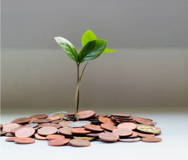 मनी प्लांट लावण्यासाठी आग्नेय दिशा उत्तम मानली जाते. ही दिशा शुभ आहे. कारण  ही श्रीगणेशाची दिशा मानली जाते.