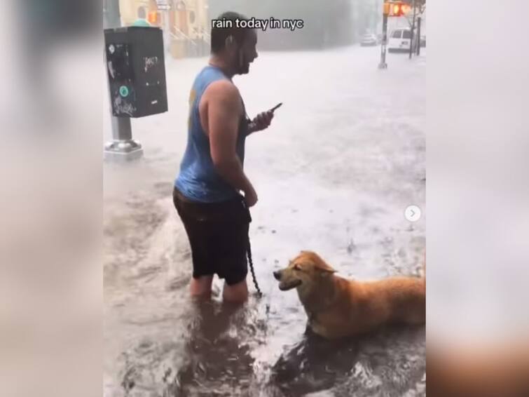 Viral Video Man Takes Dog For Walk Amid New York Floods Watch Viral Video: న్యూయార్క్ వరదల్లో కుక్కతో వాకింగ్, ఓ వ్యక్తి నిర్వాకంపై నెటిజన్ల ఆగ్రహం