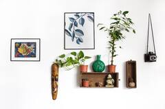 Home Decoration Tips : तुमचे घर वेगळ्या स्टाईलमध्ये सजवायचे आहे, 'या' डेकोरेशन टिप्स फॉलो करा, तुमचे घर दिसेल सुंदर