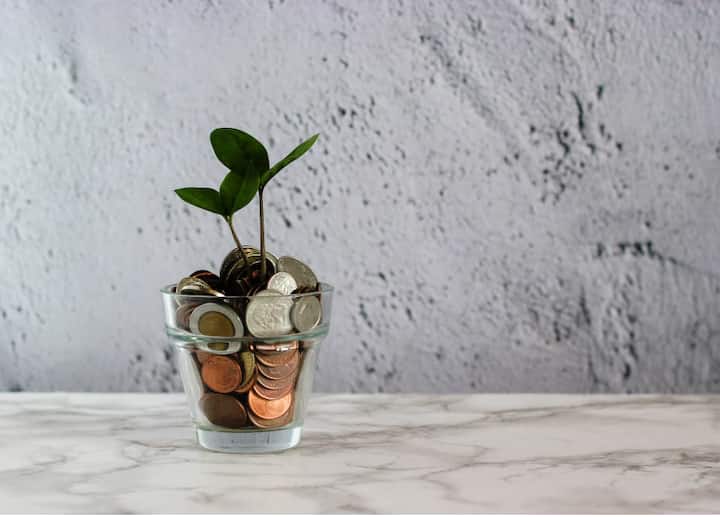 मनी प्लांट सुख, समृद्धी आणि सकारात्मक ऊर्जा प्रदान करणारा मानला जातो.  त्यामुळे घराबाहेर कधीही लावू नये. मनी प्लांट नेहमी घराच्या मुख्य प्रवेशद्वाराच्या  आतच ठेवावा.