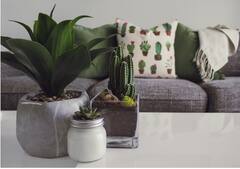 Home Decoration Tips : तुमचे घर वेगळ्या स्टाईलमध्ये सजवायचे आहे, 'या' डेकोरेशन टिप्स फॉलो करा, तुमचे घर दिसेल सुंदर