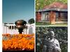 Gandhi Jayanti 2023: Top Destinations To Visit On This Occasion