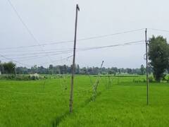 रोहतास में 440 वोल्ट के तार की चपेट में आने से पति-पत्नी की हुई मौत, गांव में मचा कोहराम