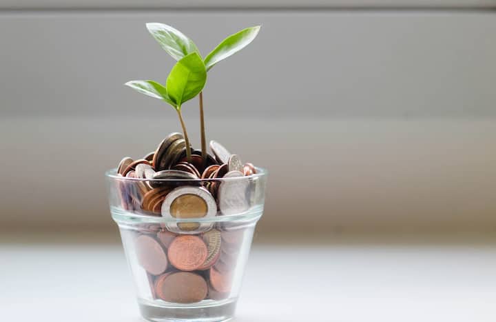 एखादी व्यक्ती कितीही खास असली तरी त्याच्यासोबत मनी प्लांटची देवाणघेवाण  करू नका. असे केल्याने तुम्हाला आर्थिक समस्यांना सामोरे जावे लागू शकते.