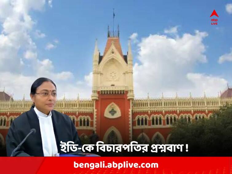 Calcutta High Court Justice Amrita Sinha raised question about Enforcement Directorate's investigation Procedure too Justice Amrita Sinha: 'আপনারা আদৌ প্রশিক্ষিত ? তথ্য় ধামাচাপা দিচ্ছেন ?' আগেও বিচারপতি সিন্হার প্রশ্নবাণে বিদ্ধ হয়েছে ED