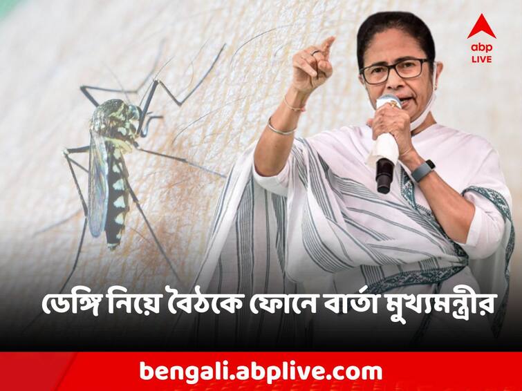 Mamata Banerjee on Dengue situation west bengal says govt should alert 24 hours Mamata Banerjee: '২৪ ঘণ্টা কাজ করতে হবে প্রশাসনকে', ডেঙ্গি রুখতে একাধিক বার্তা মমতার