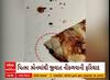Jamnagar US Pizza | પિત્ઝા ખાવાના શોખિનો ખાસ જુએ, જામનગરમાં યુએસ પિત્ઝામાંથી નીકળ્યો વંદો