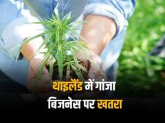 थाईलैंड में गांजे पर फिर लग सकता है प्रतिबंध? प्रधानमंत्री श्रेथा थाविसिन बोले- कानून दोबारा लिखने की जरूरत