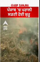 Stubble burning seen in a field | ਪੰਜਾਬ 'ਚ ਪਰਾਲੀ ਸੜਣੀ ਹੋਈ ਸ਼ੁਰੂ