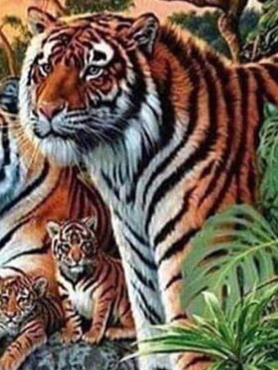 इस तस्वीर में छिपे हुए हैं कई शेर, 10 सेकंड में बूझो तो जानें