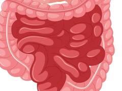 Health Tips: आंत में खराबी होते ही शरीर में दिखने लगते हैं ये लक्षण, ऐसे पहचानें