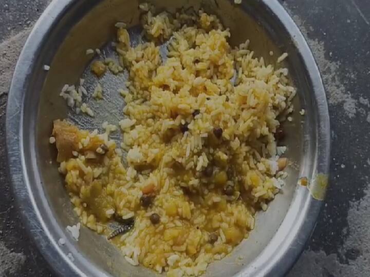 Jamui News Insect found in food under mid day meal scheme in Bihar ann Mid Day Meal: जमुई में मिड डे मील को लेकर फिर हुआ बवाल, खाने में मिला कीड़ा, बच्चों ने नाले में फेंका भोजन