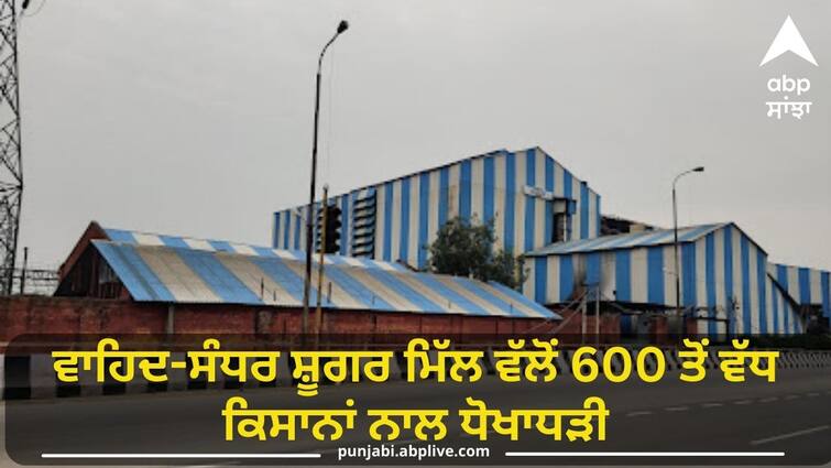 More than 600 farmers cheated by Wahid-Sandhar Sugar Mill Punjab News: ਵਾਹਿਦ-ਸੰਧਰ ਸ਼ੂਗਰ ਮਿੱਲ ਵੱਲੋਂ 600 ਤੋਂ ਵੱਧ ਕਿਸਾਨਾਂ ਨਾਲ ਧੋਖਾਧੜੀ, ਕਿਸਾਨਾਂ ਦੇ 40 ਕਰੋੜ ਰੁਪਏ ਬਕਾਇਆ