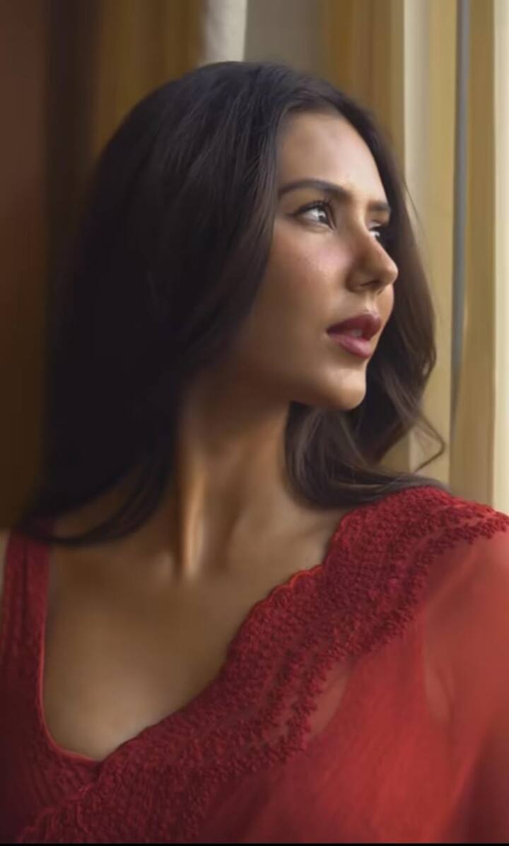 'ਕੈਰੀ ਆਨ ਜੱਟਾ 3' ਨੇ ਤਾਂ 100 ਕਰੋੜ ਤੋਂ ਜ਼ਿਆਦਾ ਦੀ ਕਮਾਈ ਕਰਕੇ ਇਤਿਹਾਸ ਰਚ ਦਿੱਤਾ ਸੀ।