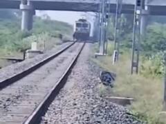रेलवे ट्रैक पर बैठकर फोन पर बात करने में था मशगूल, ट्रेन से टकराने पर जानें क्या हुआ हाल?