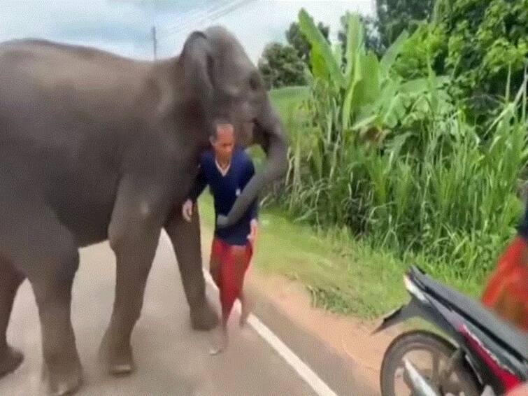 Elephant Refuses To Part With Its Caretaker In This Adorable Video. WATCH