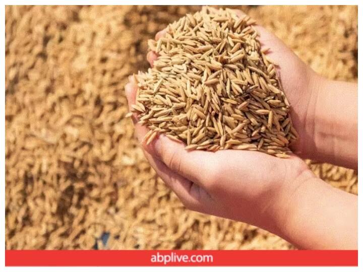 Rice MSP News Punjab Government sent Proposal to the center MSP of paddy will be RS 3284 per quintal पुढील वर्षी तांदळाची MSP 3284 रुपये होणार? 'या' राज्य सरकारनं केंद्राकडे पाठवला प्रस्ताव 