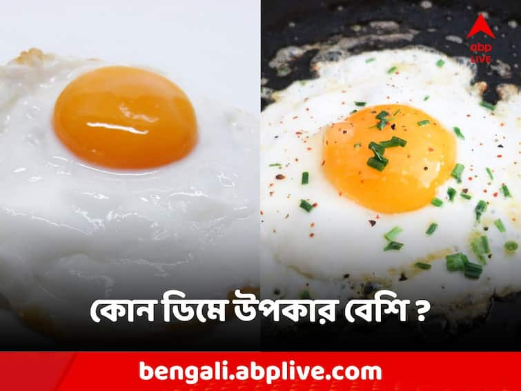 Duck or chicken eggs—which one has more nutrients? Egg Benefits: হাঁস নাকি মুরগির ডিম—কোনটিতে পুষ্টি বেশি?