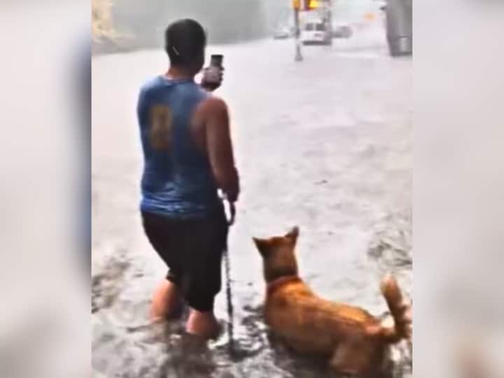 New York Flood Man Takes Dog For Morning Walk Amid Heavy Rain Viral Video VIDEO: बाढ़ से बेहाल New York में डॉग को 'मॉर्निंग वॉक' पर लेकर निकल गया शख्स, पानी डूबता नजर आया कुत्ता