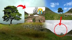 England’s Sycamore Gap Tree: 200 ఏళ్ల నాటి చెట్టు.. రాత్రికి రాత్రే నేలమట్టం