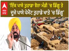 Bhagwant Mann| 'ਇੱਕ ਪਾਸੇ ਤੁਹਾਡਾ ਝੋਨਾ ਮੰਡੀ 'ਚ ਡਿੱਗੂ ਤੇ ਦੂਜੇ ਪਾਸੇ ਪੇਮੈਂਟ ਤੁਹਾਡੇ ਖਾਤੇ 'ਚ ਡਿੱਗੂ'