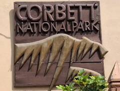 जिम कॉर्बेट नेशनल पार्क की नई वेबसाइट शुरू, टूरिस्टों को बुकिंग में नहीं होगी परेशानी