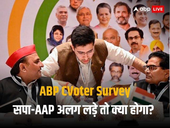 ABP News C Voter Survey Reactions Over INDIA Alliance Strategy if SP AAP contest assembly elections separately ABP C Voter Survey: सपा और AAP के अलग-अलग विधानसभा चुनाव लड़ने पर क्या होगी I.N.D.I.A. की रणनीति? सर्वे में जनता ने दिया ये जवाब