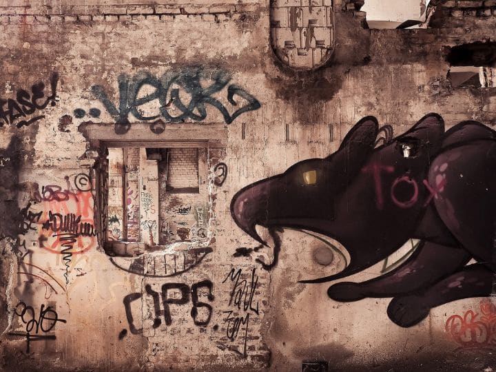 Rats are taking over this city you will be surprised to see their bodies इस शहर पर चूहे जमा रहे हैं कब्जा, कुत्ते जितना बड़ा हो गया है शरीर