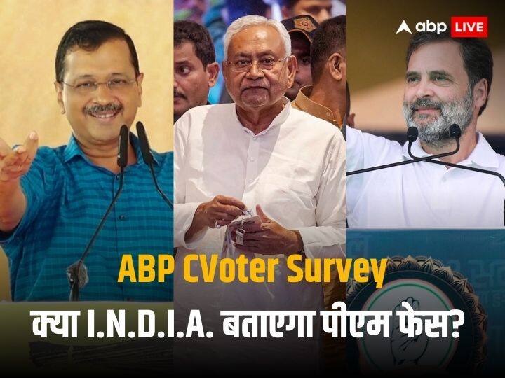 ABP News C Voter Survey Most People Say Opposition Should Fight Lok Sabha Election 2024 With PM Candidate ABP C Voter Survey: 2024 के लोकसभा चुनाव में क्या विपक्ष को घोषित करना चाहिए पीएम फेस? सर्वे में आए चौंकाने वाले नतीजे