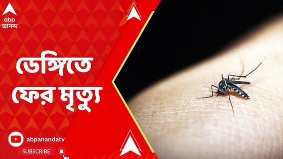 দক্ষিণ দমদম পুরসভায় ফের ডেঙ্গি আক্রান্ত তরুণীর মৃত্যু
