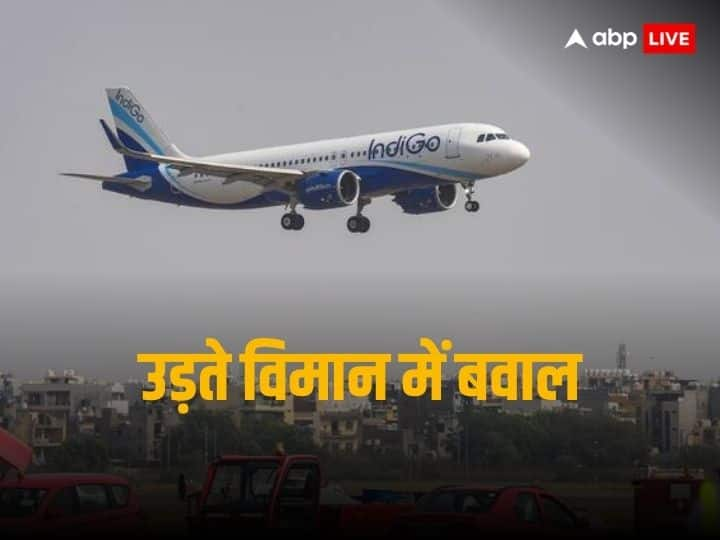 IndiGo Flight Special Needs Man Misbehaves in Plane Locks Toilet इंडिगो की फ्लाइट में यात्री का हंगामा, उड़ते विमान में मचाया उपद्रव, खुद को वॉशरूम में किया लॉक