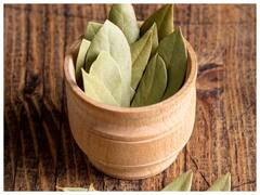 Health Tips: શાકભાજીમાં દરરોજ ઉમેરો તમાલપત્ર, ઈમ્યુનિટી વધવાની સાથે થશે અઢળક ફાયદા