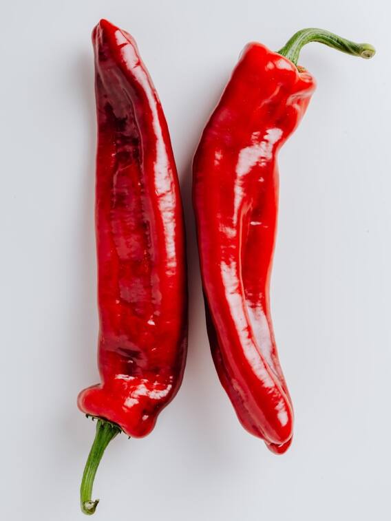 मिर्च की खेती से बनें मालामाल, जानें कैसे शुरू हुआ सिलसिला