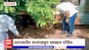 Amravati Swachhata Seva Abhiyan : अमरावतीत भाजपकडून स्वच्छता मोहिम सुरू ABP Majha
