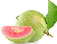 Agriculture News : जपानी रेड डायमंड पेरुच्या शेतीतून मिळवा आर्थिक नफा