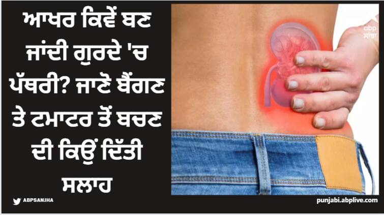 how do kidney stones form Know why advised to avoid eggplant and tomato in kidney stone Kidney stone: ਆਖਰ ਕਿਵੇਂ ਬਣ ਜਾਂਦੀ ਗੁਰਦੇ 'ਚ ਪੱਥਰੀ? ਜਾਣੋ ਬੈਂਗਣ ਤੇ ਟਮਾਟਰ ਤੋਂ ਬਚਣ ਦੀ ਕਿਉਂ ਦਿੱਤੀ ਸਲਾਹ