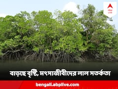 সোমের সকালেই ভারী দুর্যোগ!মৎস্যজীবীদের জন্য লাল সতর্কতা, কী পরিস্থিতি সুন্দরবনে ?