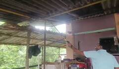 rare snake :  बाप रे बाप... घरामध्येच आढळला दुर्मिळ फोर्स्टेन मांजऱ्या साप! पाहा फोटो