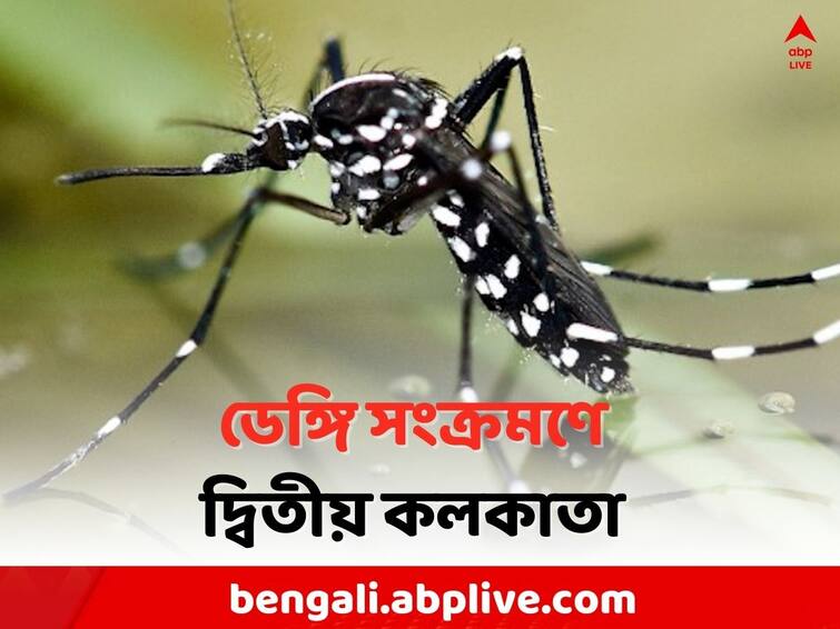 WB Dengue Update: North 24 Parganas is on the first place in terms of Dengue infected district during this season, second Kolkata Dengue: ডেঙ্গি আক্রান্তের নিরীখে শীর্ষে উত্তর ২৪ পরগনা, দ্বিতীয় কলকাতা
