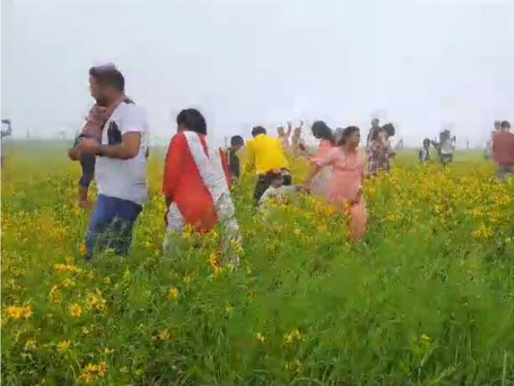 कास पठारावर येण्यासाठी अरुंद मार्ग आहे. त्यामुळे पठार परिसरातील रस्यांवर तब्बल चार- पाच किलोमीटरची रांग लागत आहे. गर्दीवर नियंत्रण मिळवण्यासाठी कास पठार समिती प्रयत्न करत आहे.