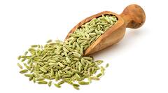 Benefits of Fennel Seeds : ਸੌਂਫ ਦੇ ਫਾਇਦੇ ਜਾਣ ਕੇ ਤੁਸੀਂ ਹੋ ਜਾਓਗੇ ਹੈਰਾਨ