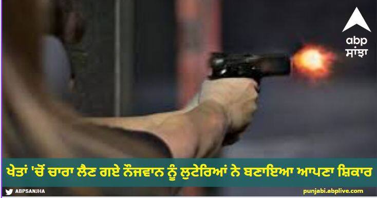 The robbers made the youth who went to get fodder from the fields their victim Punjab News : ਖੇਤਾਂ 'ਚੋਂ ਚਾਰਾ ਲੈਣ ਗਏ ਨੌਜਵਾਨ ਨੂੰ ਲੁਟੇਰਿਆਂ ਨੇ ਬਣਾਇਆ ਆਪਣਾ ਸ਼ਿਕਾਰ, ਗੋਲੀ ਮਾਰ ਕੇ ਕੀਤਾ ਜ਼ਖਮੀ