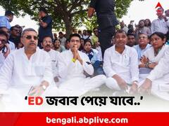 দিল্লিতে অভিষেক, রাত পেরোলেই কলকাতায় ED-র সমন, জল্পনা তুঙ্গে